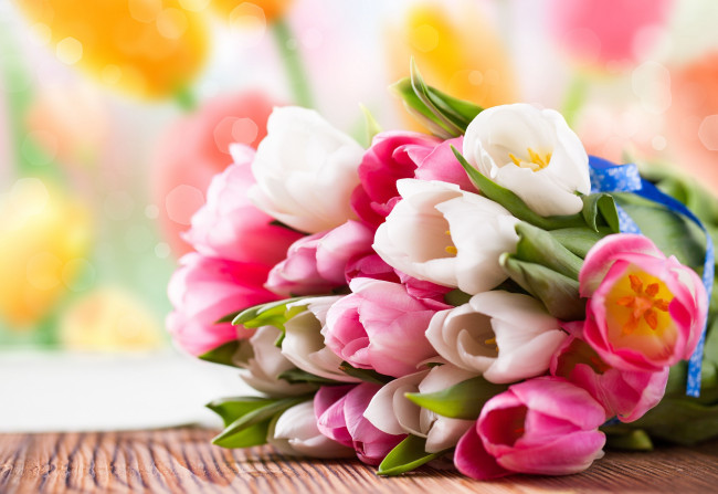 Обои картинки фото цветы, тюльпаны, букет, бутоны