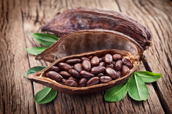 Картинка еда орехи +каштаны +какао-бобы листья какао бобы кожура