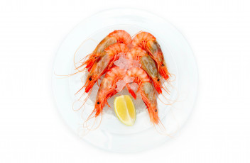 Картинка еда рыба +морепродукты +суши +роллы лёд креветки тарелка морепродукты лимон