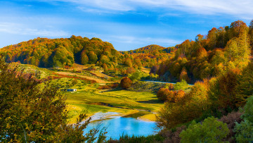 Картинка природа реки озера осень лес холмы озеро