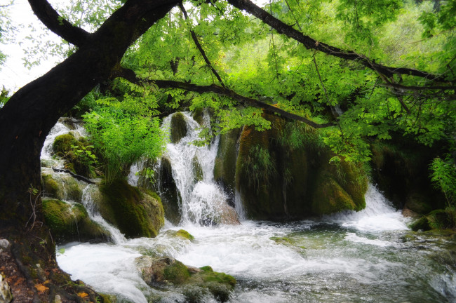Обои картинки фото природа, водопады, водопад, речка, деревья, скалы