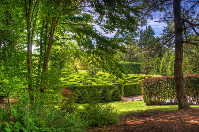 Обои картинки фото vandusen botanical garden,  vancouver  канада, природа, парк, канада, vancouver, garden, botanical, vandusen, деревья, кусты, сад