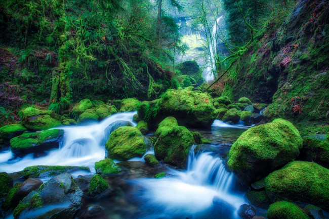 Обои картинки фото elowah falls in oregon, природа, водопады, орегон, сша, водопад, лес