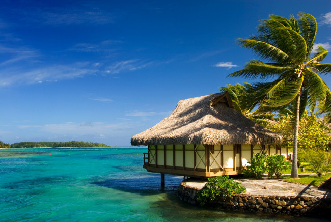 Обои картинки фото moorea,  french polynesia, природа, тропики, море, трпики, french, polynesia, бунгало