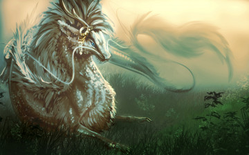 Картинка фэнтези драконы азиатский усы трава дракон арт