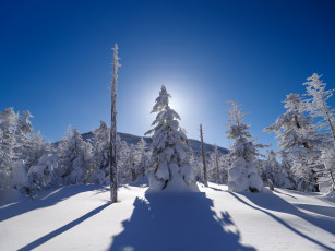 Картинка природа зима снег деревья горы лучи небо