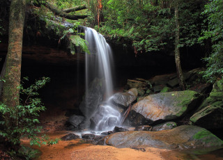 Картинка природа водопады деревья скалы водопад лес камни