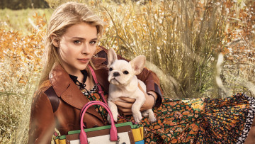 обоя девушки, chloe grace moretz, улыбка, собака, куртка, сумка, трава, блондинка, актриса