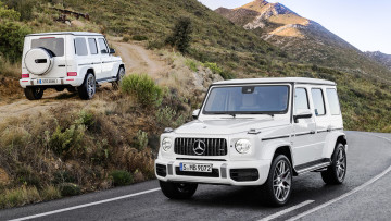 Картинка mercedes-benz+amg+g63+2019 автомобили mercedes-benz amg g63 2019 белый