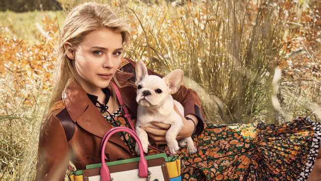 Обои картинки фото девушки, chloe grace moretz, улыбка, собака, куртка, сумка, трава, блондинка, актриса