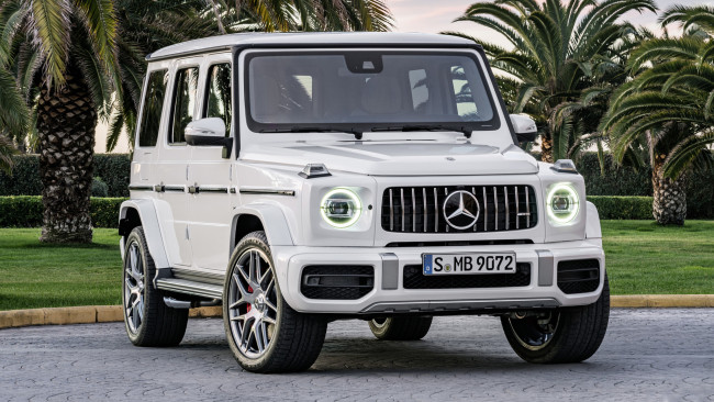 Обои картинки фото mercedes-benz amg g63 2019, автомобили, mercedes-benz, amg, белый, 2019, g63