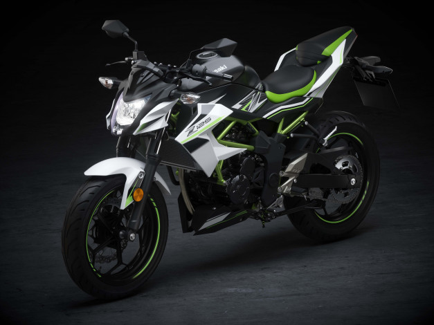 Обои картинки фото мотоциклы, kawasaki, 2020, z125, eu