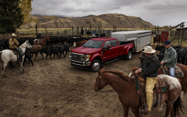 Обои картинки фото 2019 ford f- 450,  super duty limited, автомобили, ford, быки, ранчо, пикап, новый, красный, американский, сша, форд