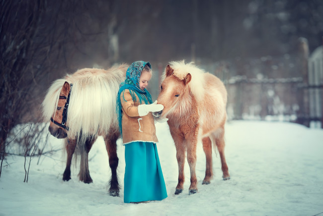 Обои картинки фото разное, дети, девочка, лошади, снег, зима