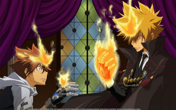 Картинка аниме katekyo hitman reborn vongola primo dechimo