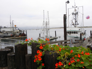 Картинка morro bay fishing docks корабли порты причалы настурция калифорния