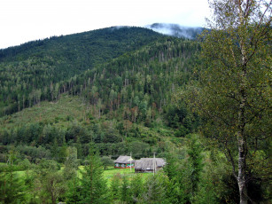 Картинка природа горы дом лес