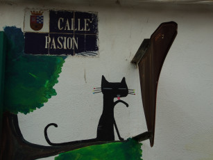 Картинка разное граффити кошка