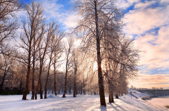 Картинка природа зима дорога снег деревья иней облака