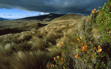 Картинка природа горы горное плато