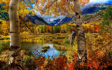 Картинка природа пейзажи краски деревья озеро осень красота