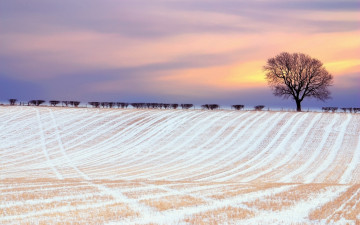 Картинка природа поля поле снег
