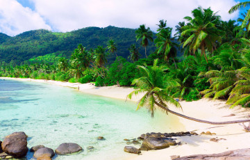 Картинка природа тропики остров