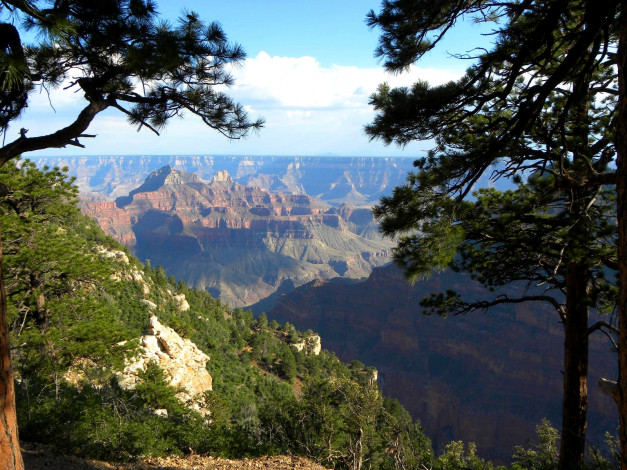 Обои картинки фото grand, canyon, the, north, rim, природа, горы, аризона