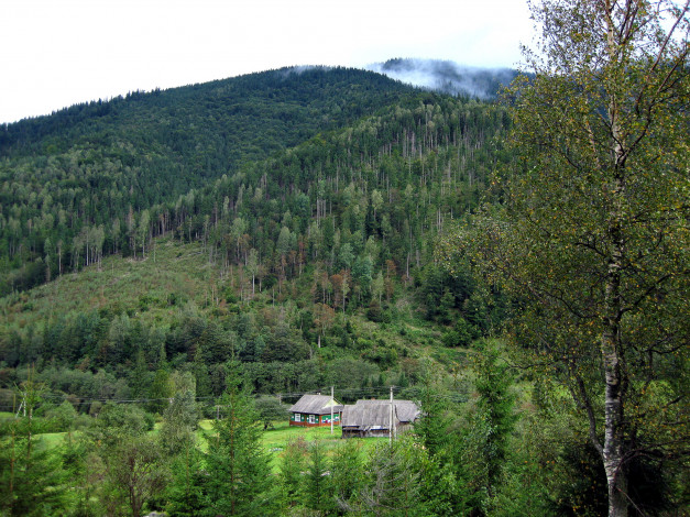 Обои картинки фото природа, горы, дом, лес