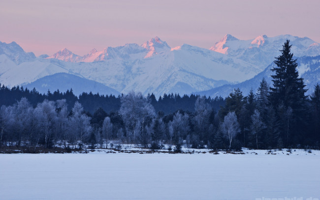 Обои картинки фото природа, зима, горы, деревья