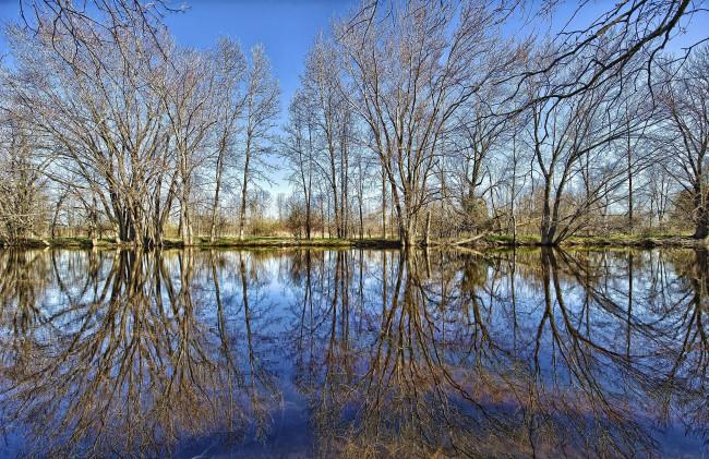 Обои картинки фото природа, реки, озера, ветки, ранняя, весна, отражение