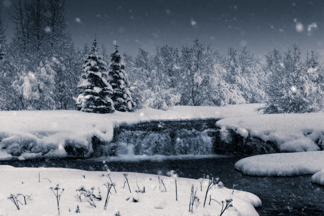 Обои картинки фото природа, зима, снег, лес, снежинки