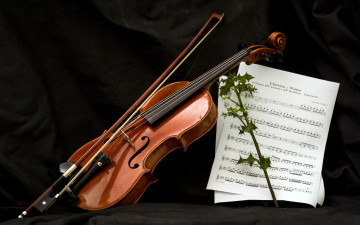 Картинка музыка музыкальные+инструменты скрипка ноты