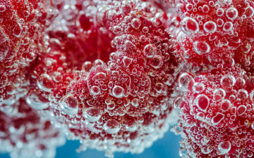 Картинка еда малина вода ягоды пузырьки макро