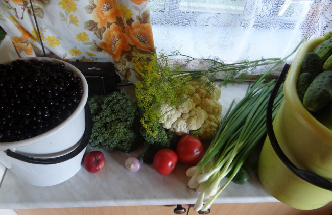 Обои картинки фото еда, фрукты и овощи вместе, зелень, капуста, укроп, лук, помидоры, яблоко, ягоды