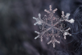 Картинка природа макро снежинка снег кристалл