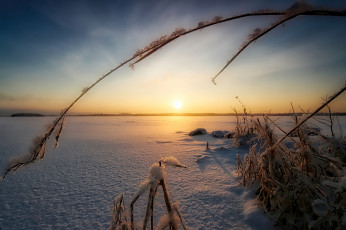 Картинка природа зима рассвет