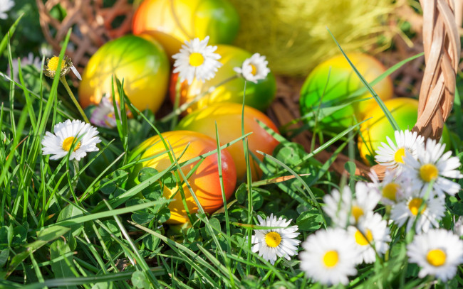 Обои картинки фото праздничные, пасха, яйца, весна
