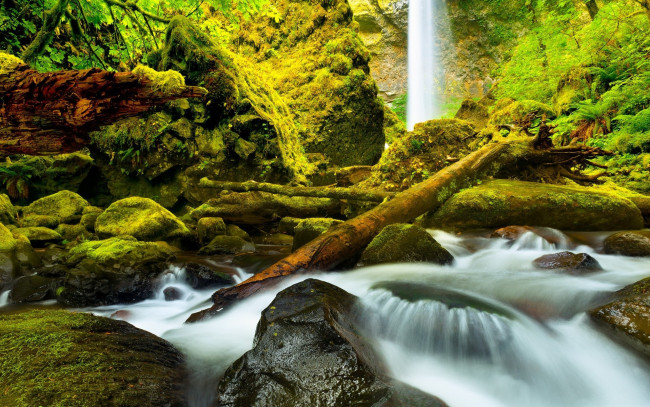 Обои картинки фото природа, водопады, камни, зелень, бревна, водопад