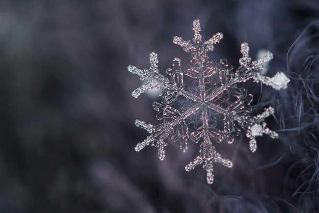Обои картинки фото природа, макро, снежинка, снег, кристалл