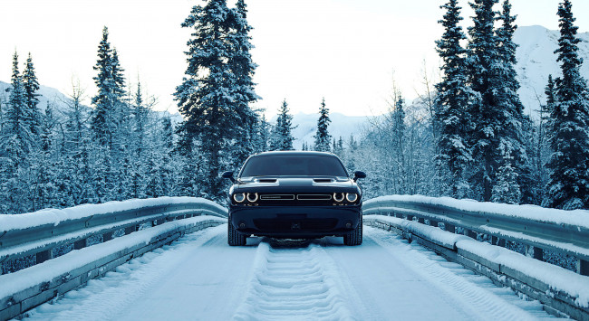 Обои картинки фото dodge challenger gt-awd 2017, автомобили, dodge, 2017, gt-awd, challenger