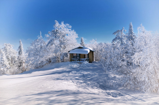 Обои картинки фото природа, зима, холм, снег, деревья, домик