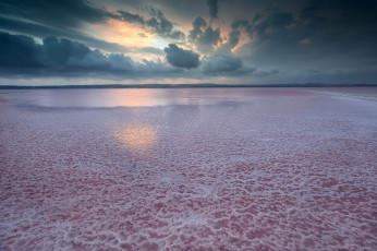 Картинка природа побережье вода песок