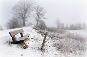 Картинка природа зима трава деревья снег скамейка дорога