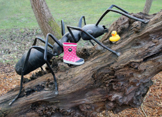 Картинка разное садовые+и+парковые+скульптуры резиновая уточка сапог коряга муравей железный парк