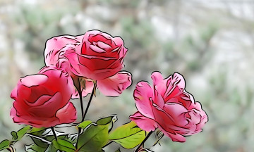 Картинка разное компьютерный+дизайн линии розы лепестки цветы краски