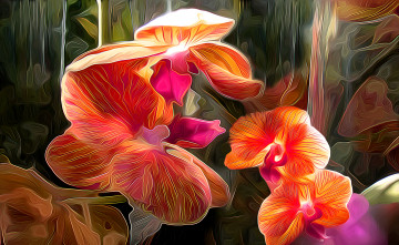 Картинка разное компьютерный+дизайн природа лепестки цветы