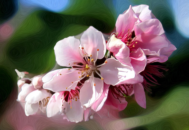 Обои картинки фото разное, компьютерный дизайн, весна, сад, цветы, лепестки, линии, штрих, природа