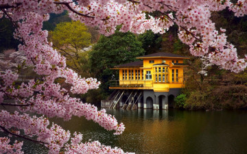 Картинка города -+пейзажи цветение весна деревья озеро коттедж домик