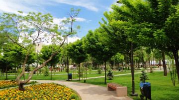 Картинка природа парк клумбы скамейки деревья аллеи